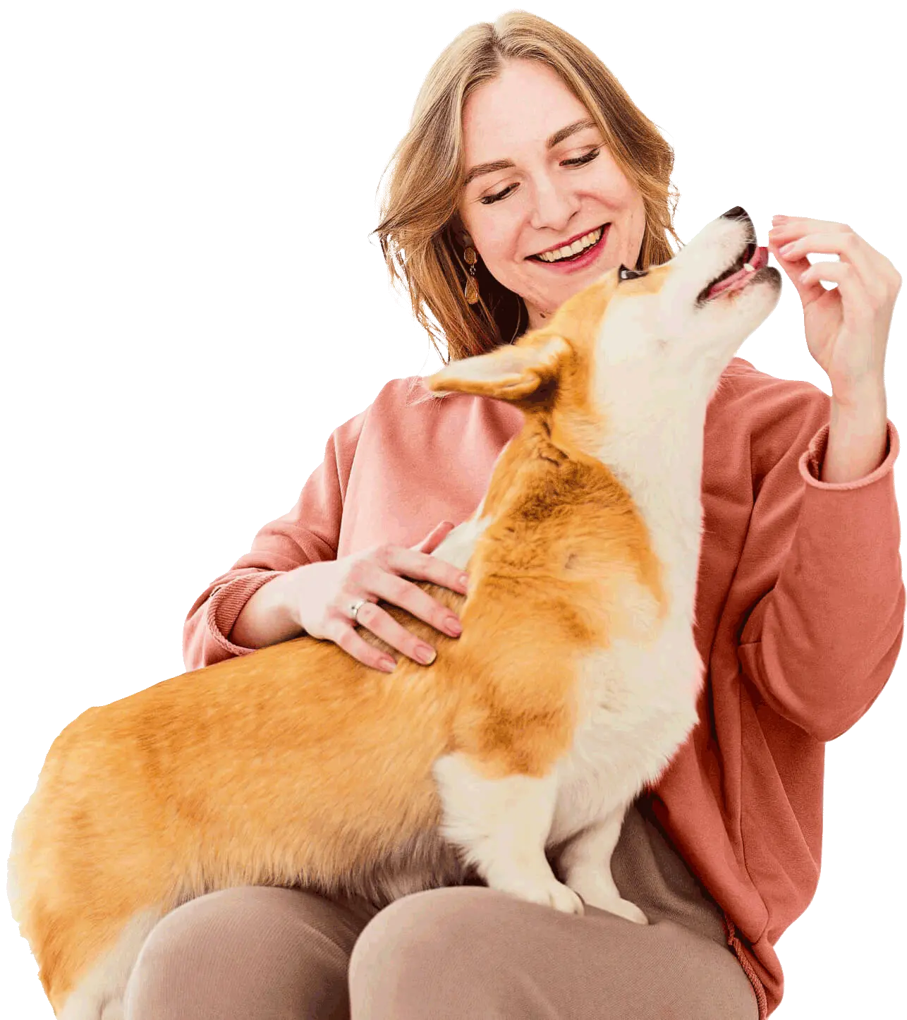 Clínica Veterinária ANIMAL VALE